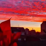 Life Magenta